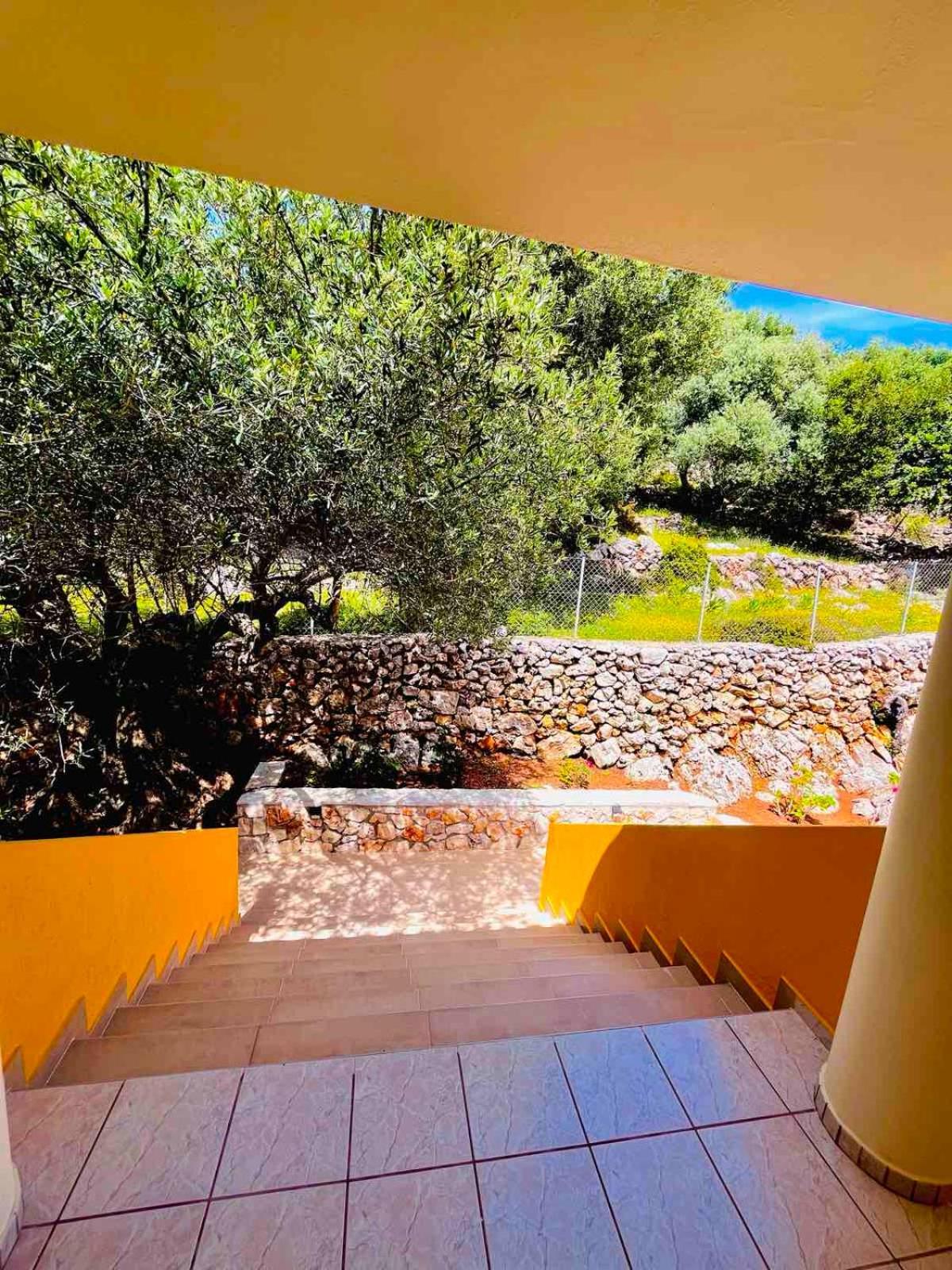 Asteras Studios Argostoli  Exterior photo