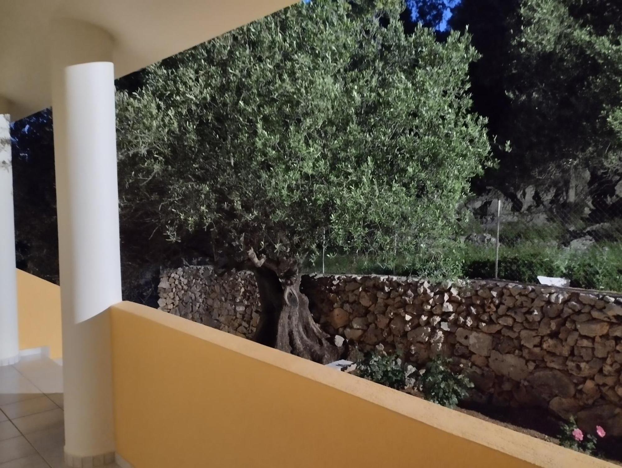 Asteras Studios Argostoli  Exterior photo