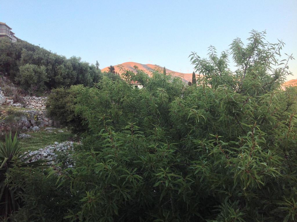 Asteras Studios Argostoli  Exterior photo